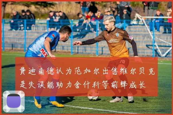 费迪南德认为范加尔出售维尔贝克是失误能助力舍什科等前锋成长